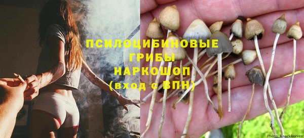ALPHA PVP Вязьма