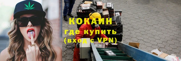 гашик Верея