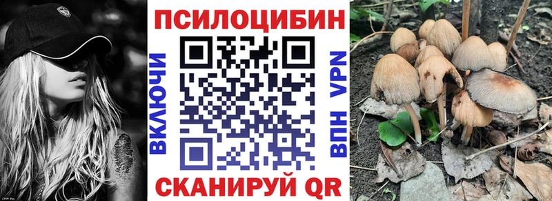 где купить наркоту  Избербаш  Псилоцибиновые грибы Magic Shrooms 